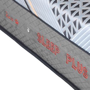 تشک زست اسلیپ پلاس