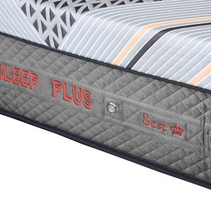 تشک زست مدل اسلیپ پلاس